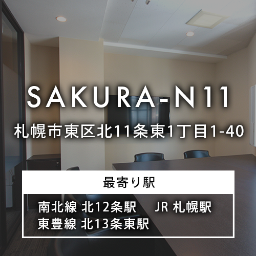 SAKURA-N11