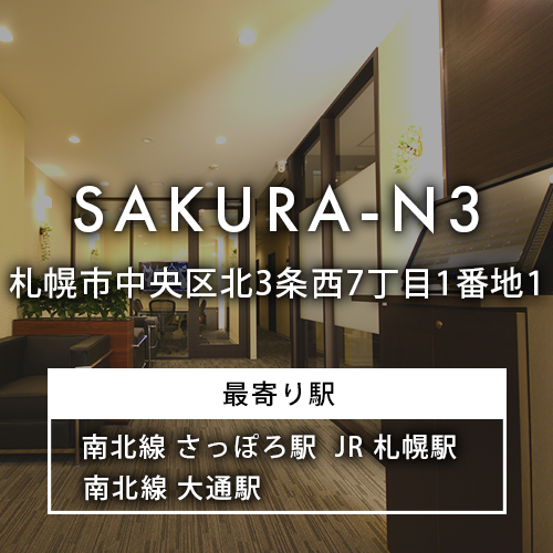SAKURA-N3